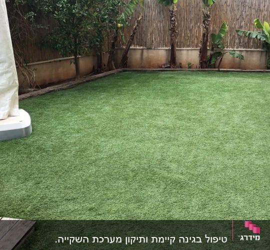 דשא סינתטי עם עצים מסביב לגינה